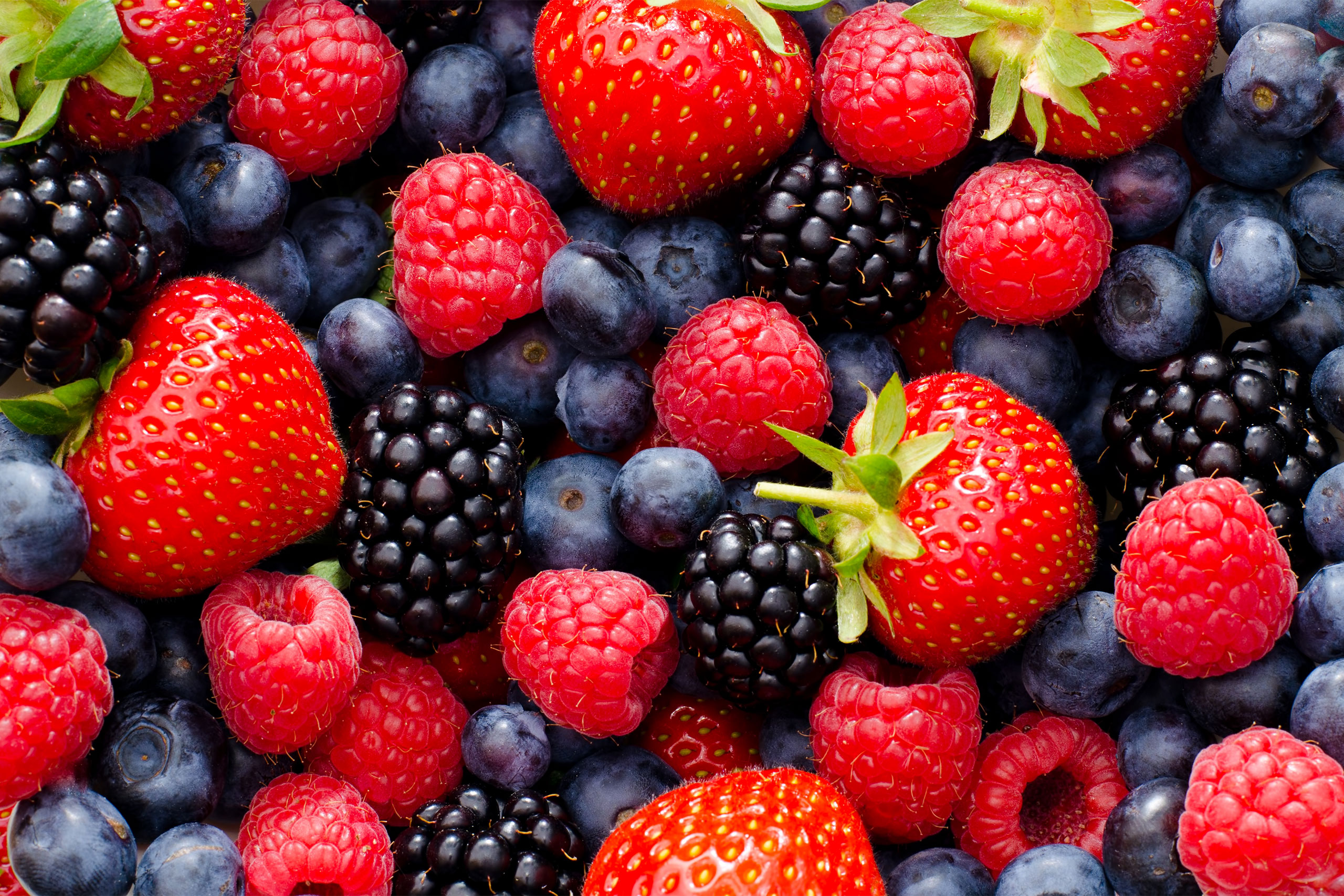 Forest fruit berries overhead assorted mix in studio on dark background with raspberries, blackberries, blueberries, red currant.